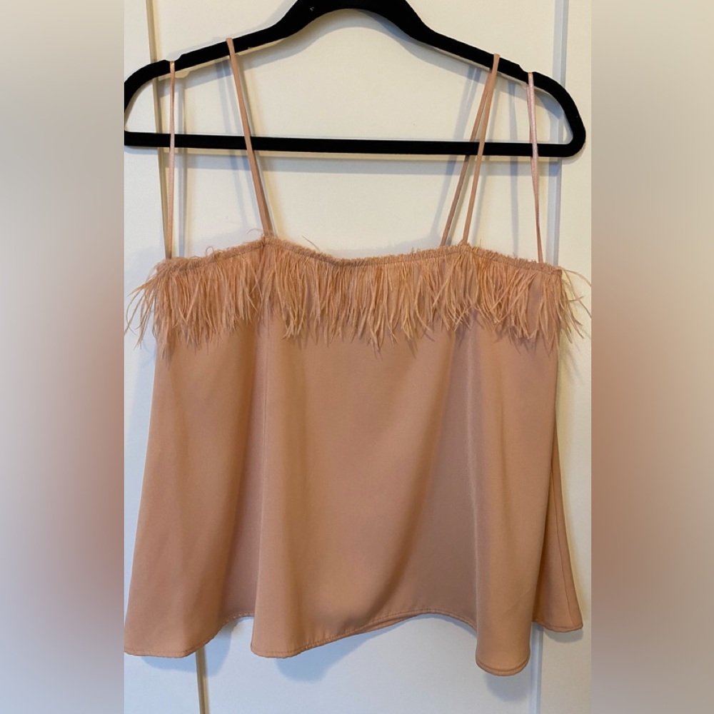 NWT Zara Feather Top